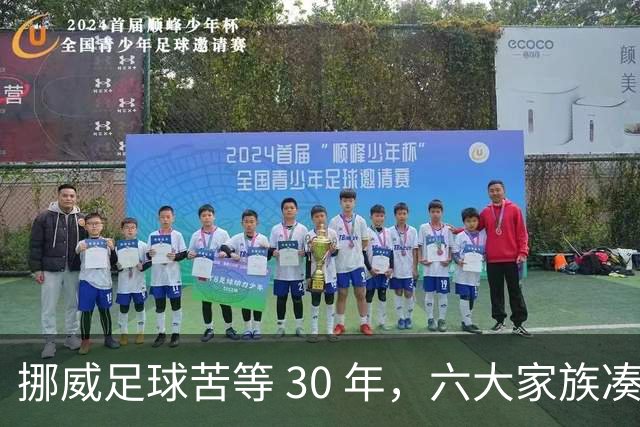 挪威足球苦等 30 年，六大家族凑世界杯主力，老国脚有啥绝招？